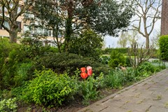 Schollevaarstraat 58_40.jpg